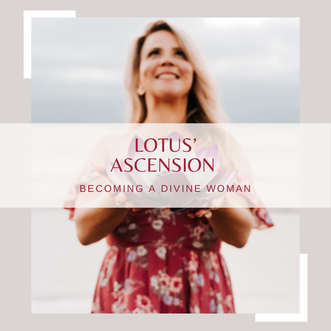 lotus-ascension